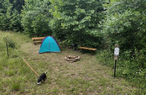 Laurelville Alquiler De RV | Pitch a Tent at Camp Heart Hocking Hills