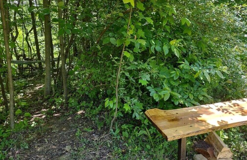 Laurelville Alquiler De RV | Pitch a Tent or Park a 20 ft or Smaller Camper at Camp Shroom Hocking Hills