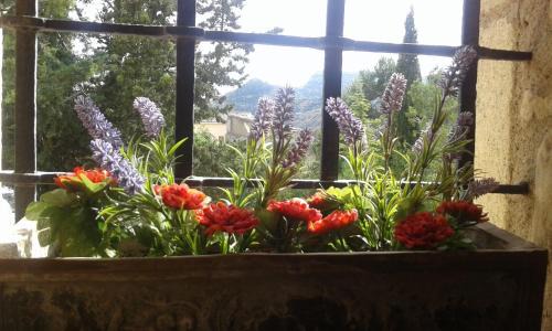 Cornudella de Montsant Casa | Pla del Castell II