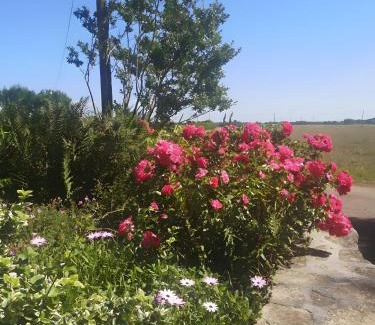 Mahalon Apartamento | Plain-pied En Rez-de-jardin