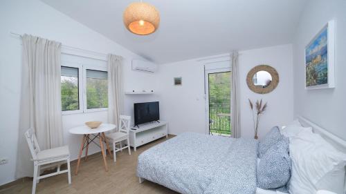Boljevici Apartamento | Plamenatz studio apartments