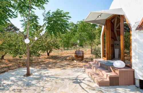Rudine Casa | Planetarium