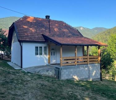Bajina Basta Casa | Planinska kuća kod Lazića