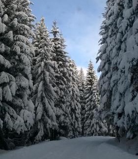 Kasidoli Chalet De Esquí | Planinska kuća MAK