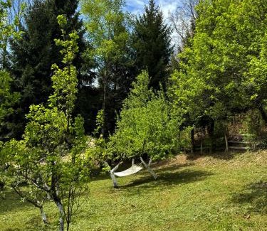 Strmosten Casa | Planinska kuća Palačinka