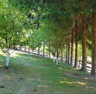 Strmosten Casa | Planinska kuća Palačinka