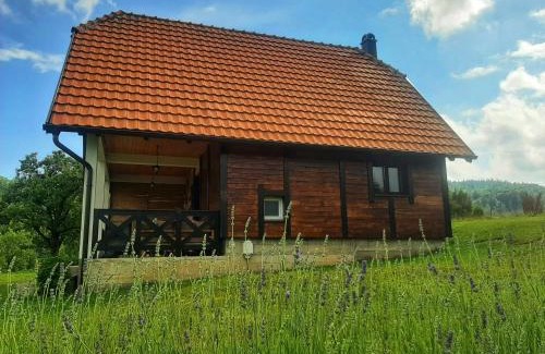 Bajina Basta Casa | Planinska kuca Olga-Tara