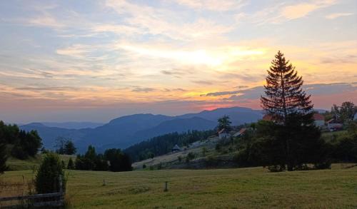 Konjska Reka Apartamento | Planinski beg, Tara, Sekulići