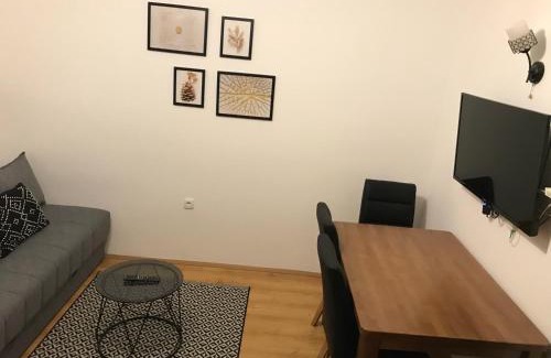 Brzece Apartamento | Planinski Raj - Bela Reka Gondola