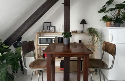 Halle Apartamento | (PLANT ROOM 3) Angenehme Zeit für euch allein.