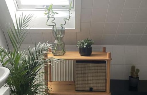 Halle Apartamento | (PLANT ROOM 3) Angenehme Zeit für euch allein.