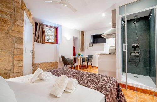 Centro histórico Apartamento | Planta baja en la muralla romana junto a la Catedral