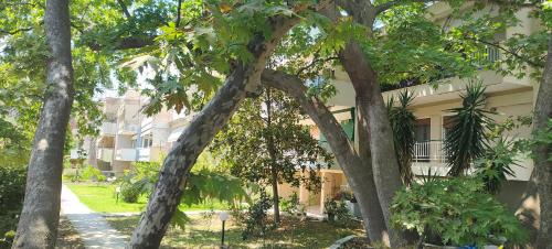 Gerakini Casa | Platanus Retreat