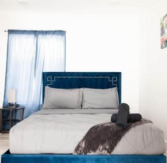 Peak's Suburban Addition Apartamento | Platinum Palace 1BR1BA-Central Dallas Stay
