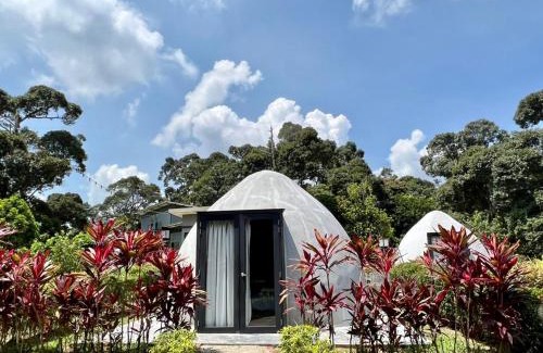 Jasin Cabina | PLAY at Lot 31 Eco Orchard Melaka