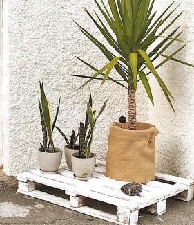 Raxo Apartamento | Playa en las Rías Baixas - Raxó