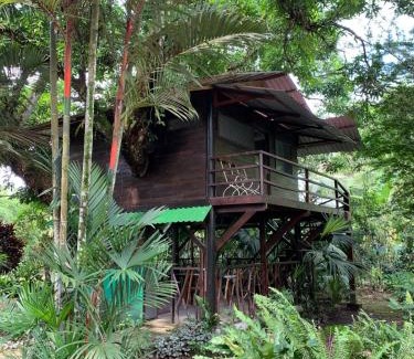 Cahuita Cabina | Playa Grande Lodge & Tree House