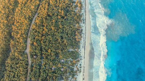 Zona Hotelera Otro | Playa Lakin-ha beachfront cabins