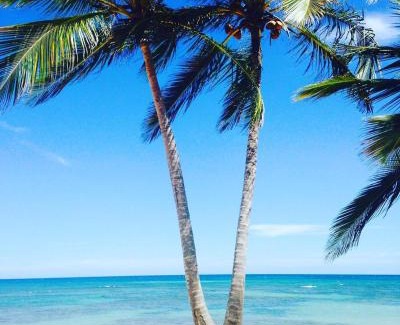 Punta Cana Apartamento | Playa Palmera Beach Resort