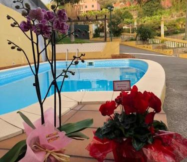 Estrela da Calheta Apartamento | Pleasant Apartment with Private Pool in Lombo Do Doutor - 50 m²