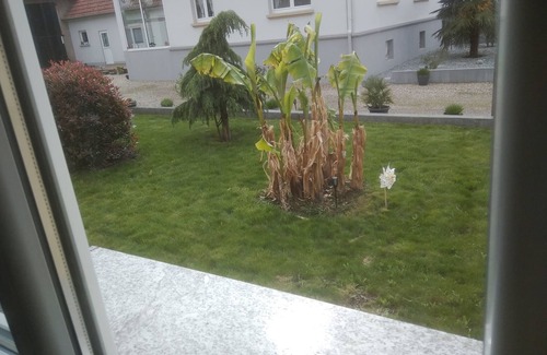 Schleithal Apartamento | Apartamento agradable y atípico