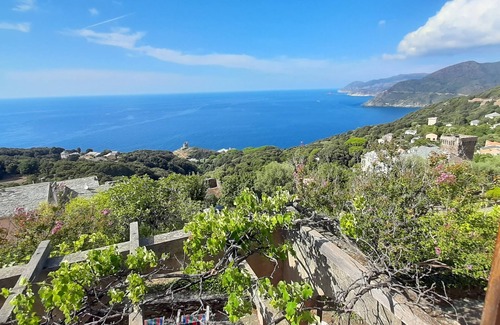 Pino Casa | Casa de familia en Pino