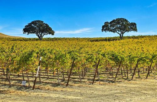 San Miguel Casa | Pleasant Valley Wine Trail Home - Near Paso Robles