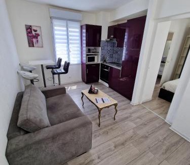 Lepante Quarter Apartamento | Plein centre Appartement climatisé et spacieux avec grande terrasse sur le toit à Nice