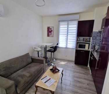 Lepante Quarter Apartamento | Plein centre Appartement climatisé et spacieux avec grande terrasse sur le toit à Nice