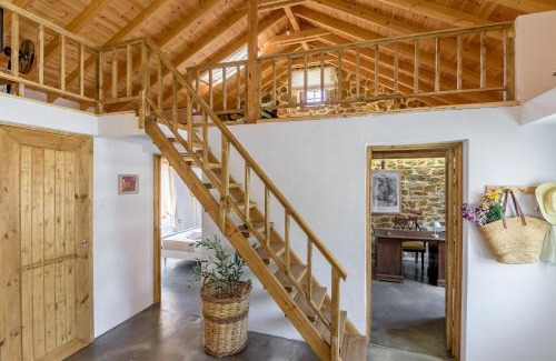 Avas Chalet De Esquí | Plismoní
