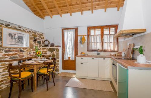 Avas Chalet De Esquí | Plismoní