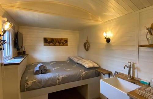 Paignton Apartamento | Plum Hut