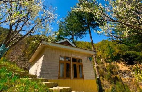 Rajgarh Complejo | Plumvelly cottage