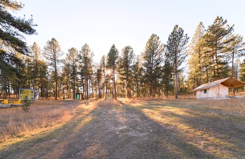 Custer Casa | Plush canvas tent in the forest