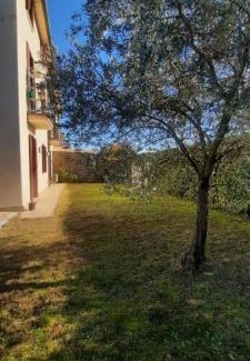 Rosa Apartamento | PM 23 Via Rogge Guest House