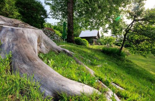 Bohinjska Bistrica Casa | Počitniška hiša ErOs