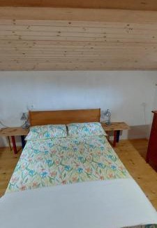 Tolmin Apartamento | Počitniška hiška v grapi