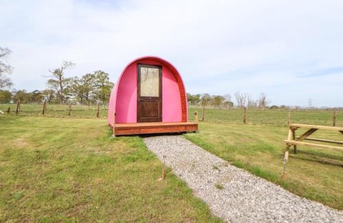 Saint Asaph Casa | Pod 3