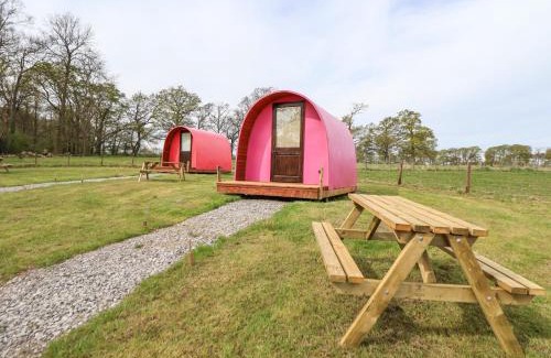 Saint Asaph Casa | Pod 3