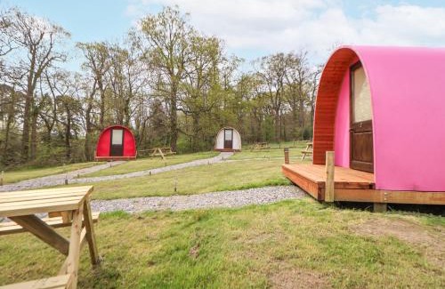 Saint Asaph Casa | Pod 3