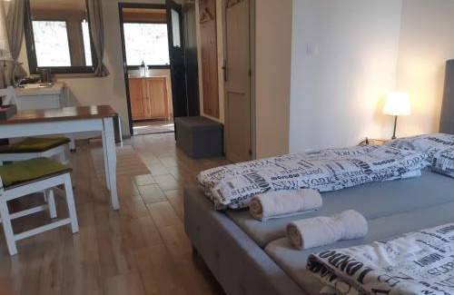 Stiavnicke Bane Apartamento | Pod horou