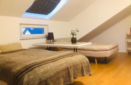 Kuppenheim Apartamento | Pod-Inn 坡顶公寓-文化谷仓