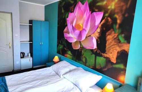 Ustka Cama Y Desayuno | Pod Różą B&B