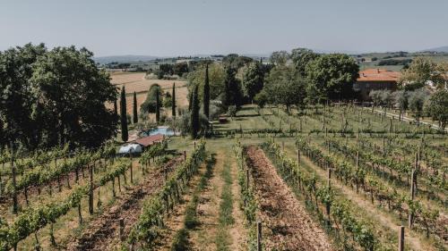 Ferretto Villa | Podere Biagio