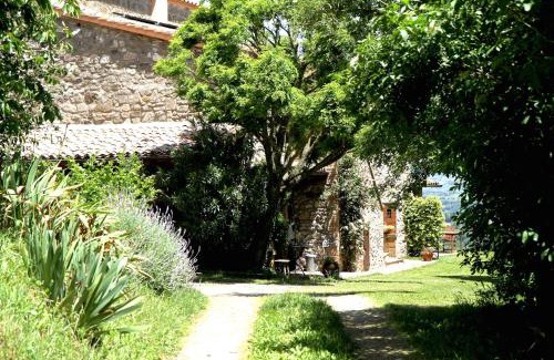 Civitella d'Agliano Apartamento | Podere Porcino