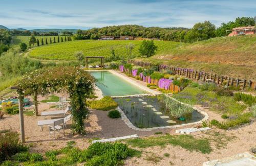 Riparbella Apartamento | Podere Terraviva - apt Ginestra