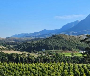 Swellendam Casa | Podium Farm Stay
