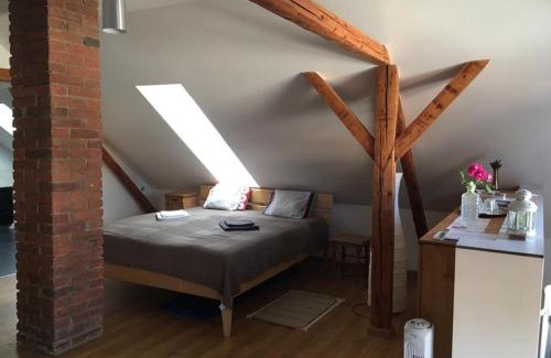 Svinarov Casa | Podkroví s koupelnou