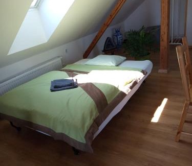 Svinarov Casa | Podkroví s koupelnou