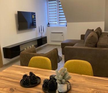 Lisina Apartamento | Pogled Apartman Kopaonik